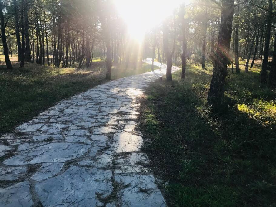 Atico Finisterre Διαμέρισμα Εξωτερικό φωτογραφία